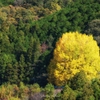 存在感
