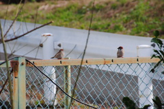 お前撮られてるぞ！　いや、お前や！