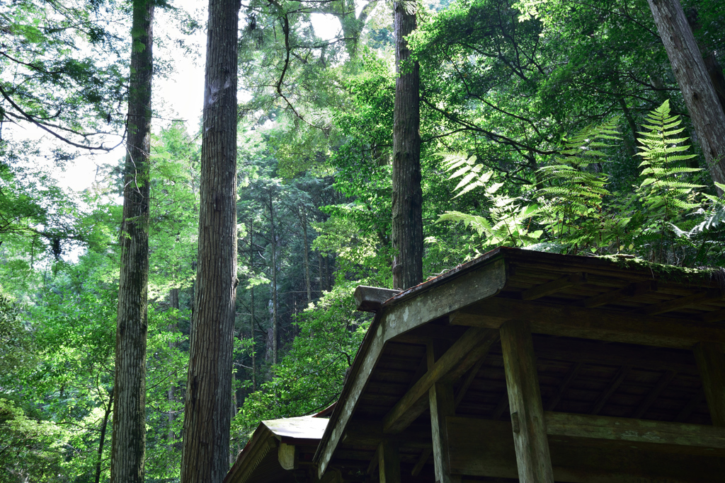 谷奥の神社