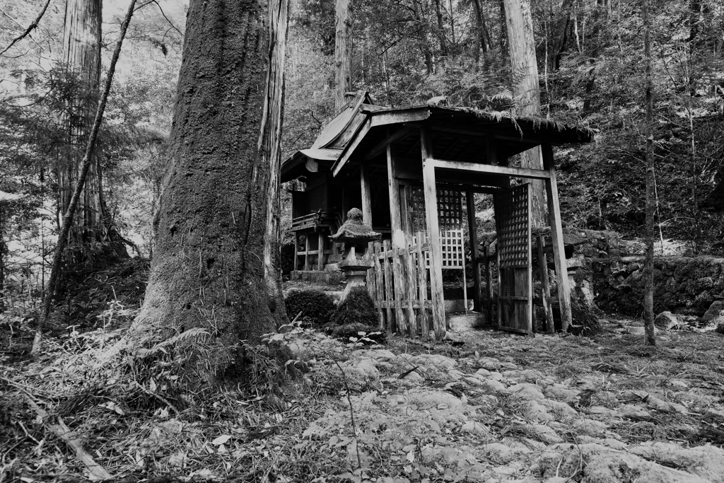 谷奥の神社_3