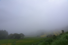霧の高原_2