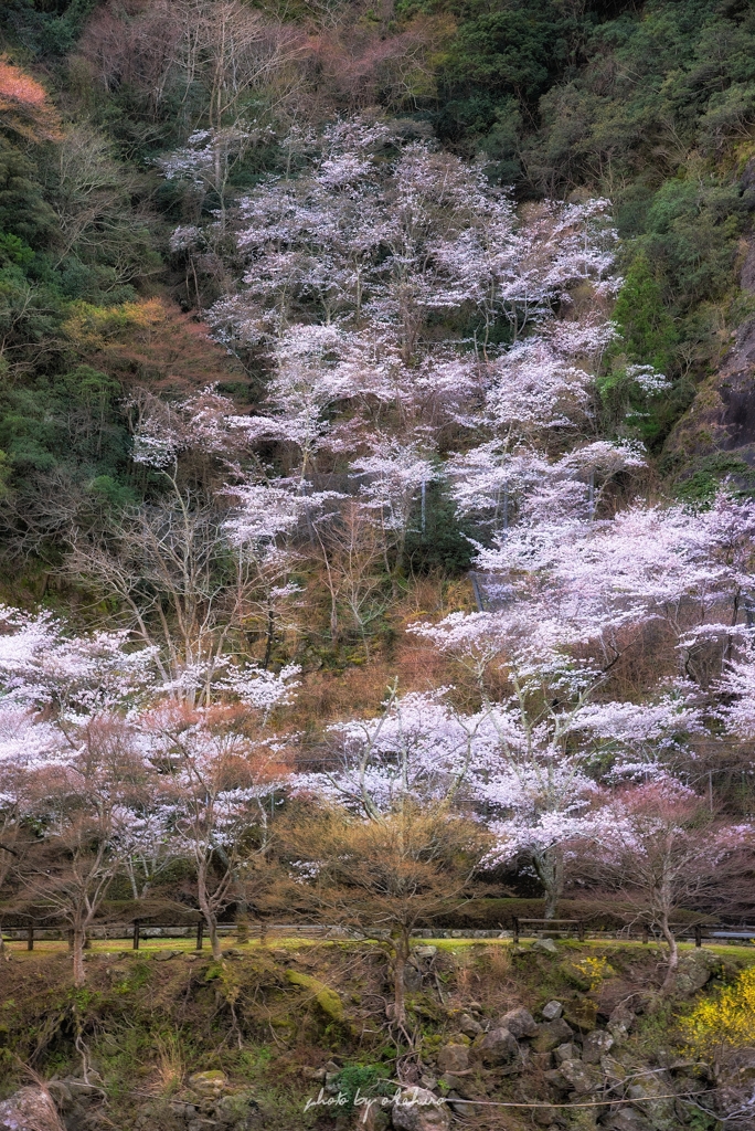 感じたままに...