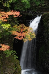 高野大滝