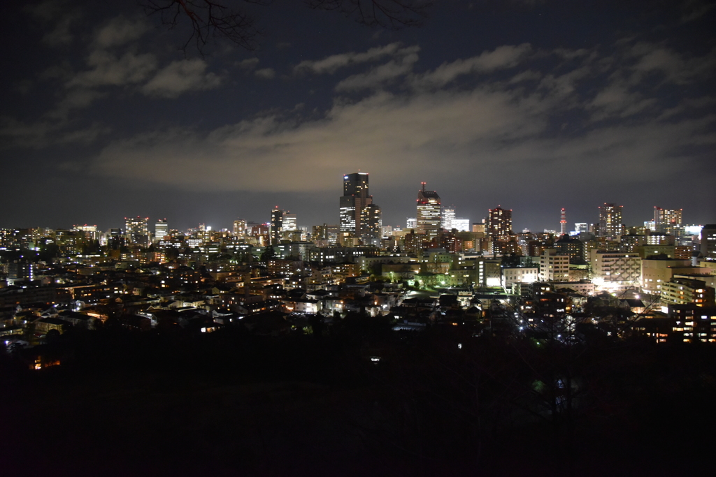 仙台夜景