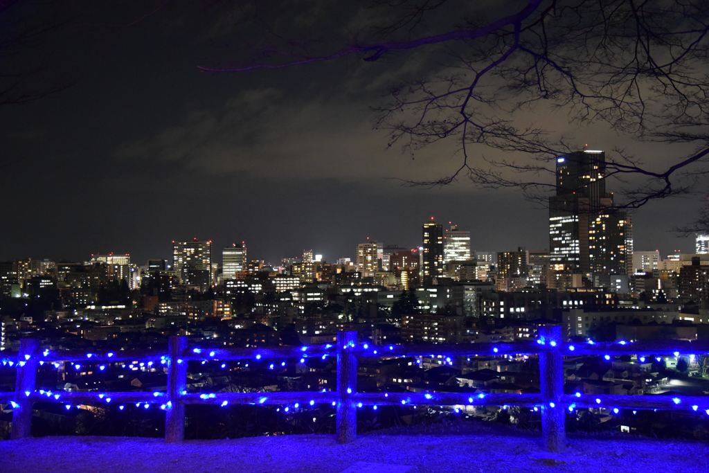 仙台夜景とイルミネーション