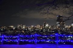 仙台夜景とイルミネーション