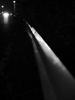 MoriNoMiyako monochrome (81)