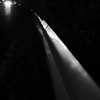 MoriNoMiyako monochrome (81)