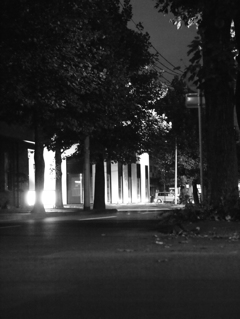 MoriNoMiyako monochrome (30)