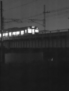 MoriNoMiyako monochrome (15)