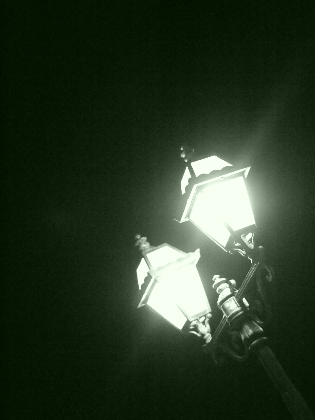 MoriNoMiyako monochrome (27)