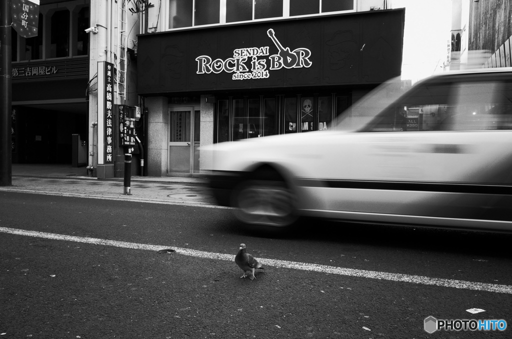 MoriNoMiyako monochrome(282)