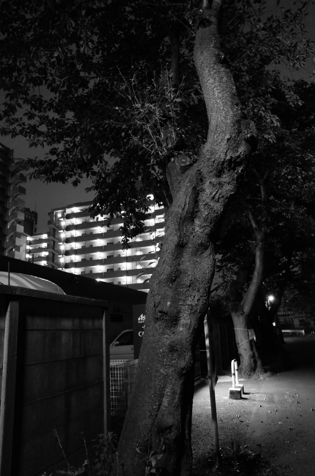 MoriNoMiyako monochrome (187)