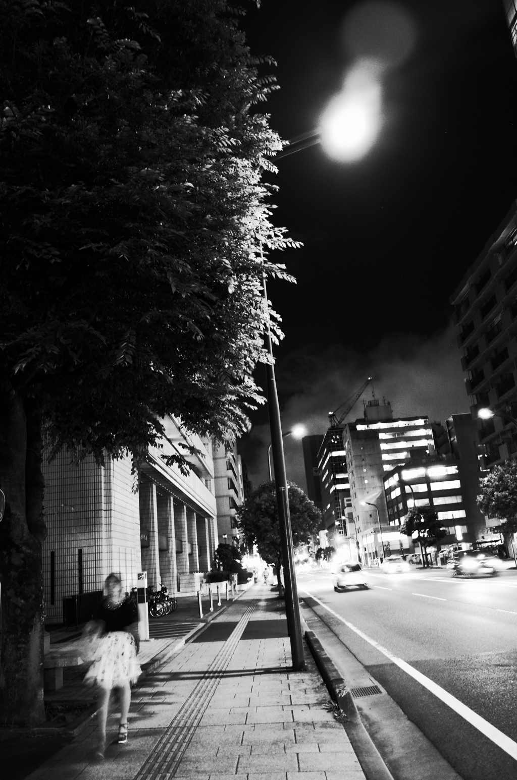 MoriNoMiyako monochrome (183)