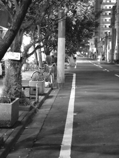 MoriNoMiyako monochrome (61)