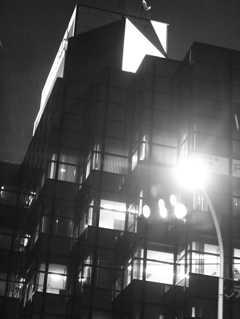 MoriNoMiyako monochrome (45)