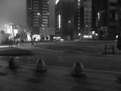 MoriNoMiyako monochrome (113)