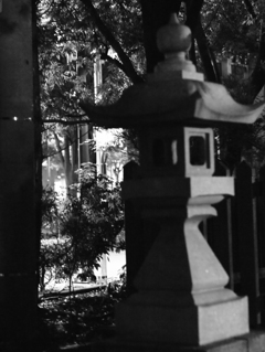 MoriNoMiyako monochrome (34)