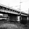 MoriNoMiyako monochrome (163)