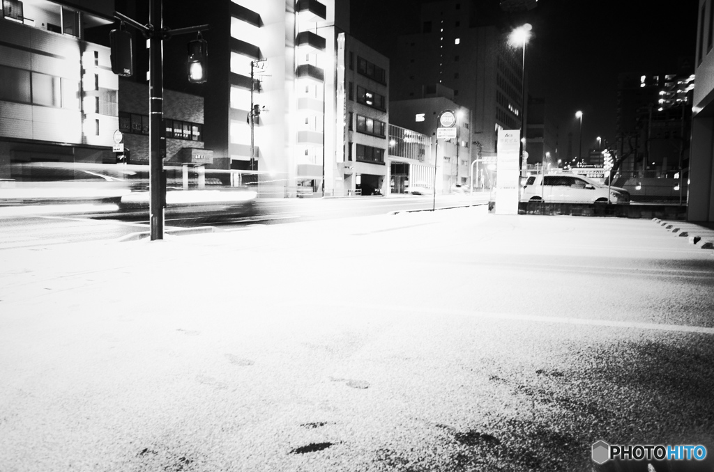 MoriNoMiyako monochrome(300)
