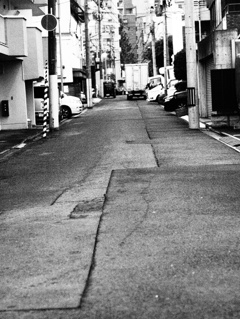 MoriNoMiyako monochrome (1)