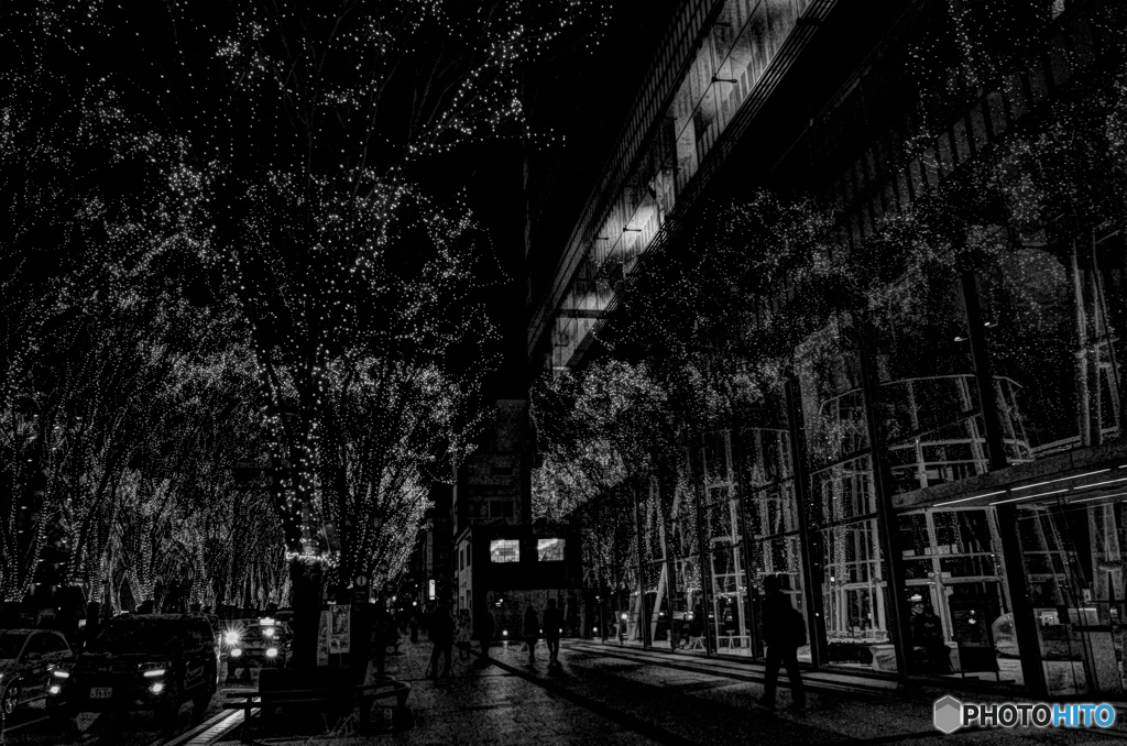 MoriNoMiyako monochrome(262)