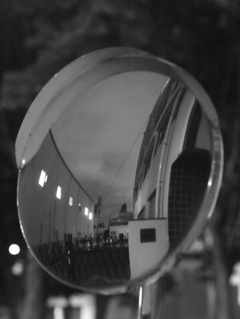 MoriNoMiyako monochrome (41)