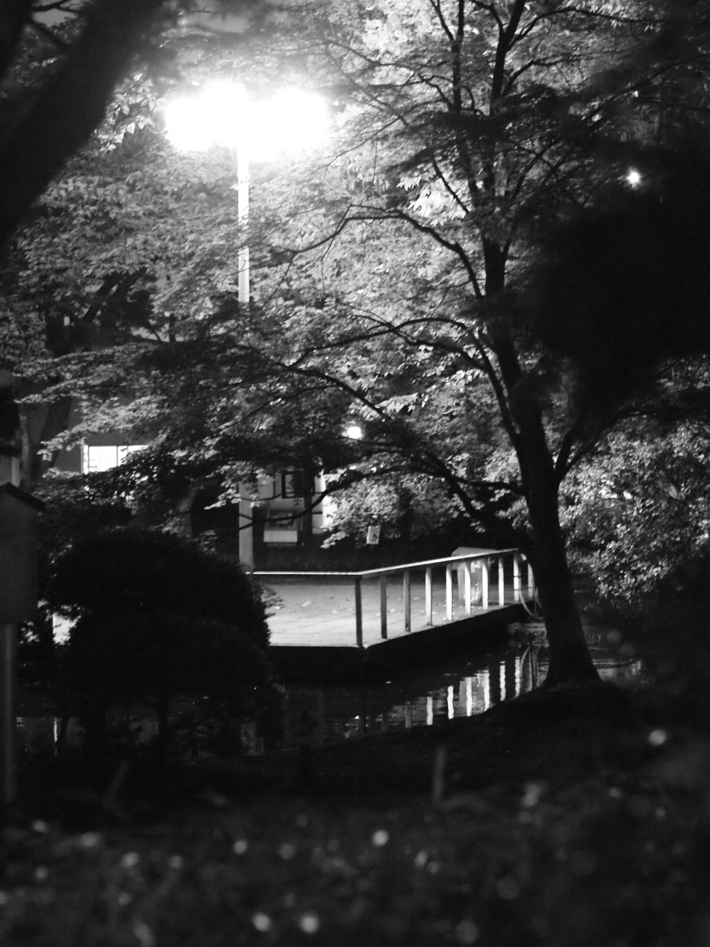 MoriNoMiyako monochrome (39)