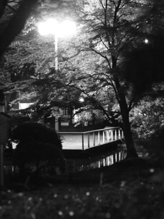 MoriNoMiyako monochrome (39)