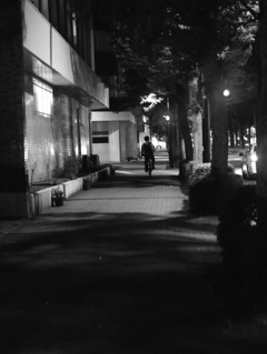 MoriNoMiyako monochrome (31)
