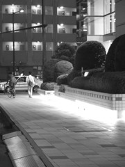 MoriNoMiyako monochrome (106)