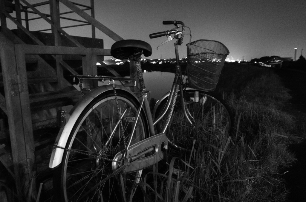 MoriNoMiyako monochrome (191)