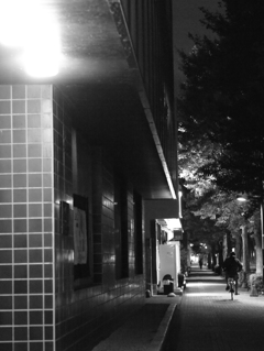 MoriNoMiyako monochrome (40)