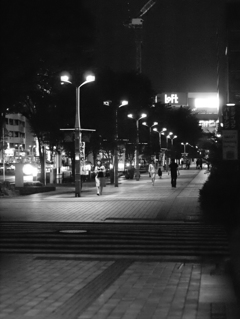 MoriNoMiyako monochrome (67)
