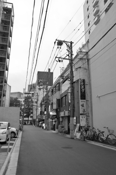 MoriNoMiyako monochrome (211)