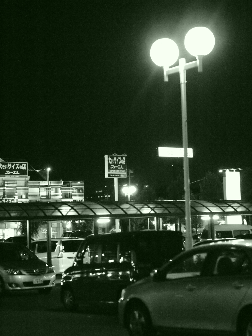 MoriNoMiyako monochrome (24)
