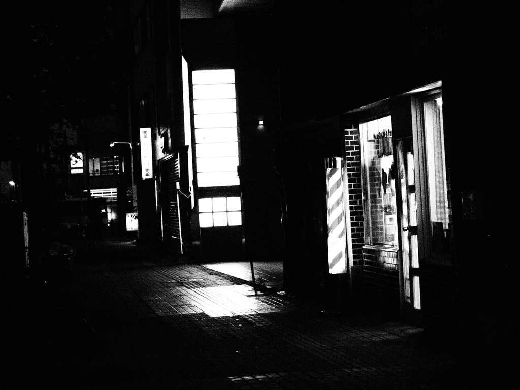 MoriNoMiyako monochrome (6)