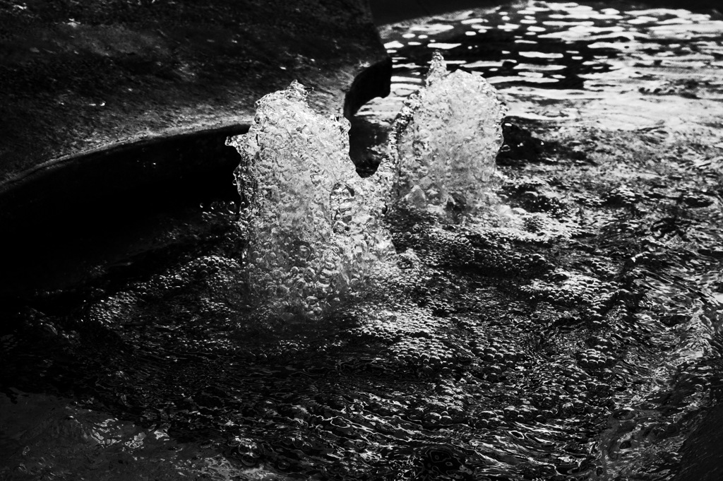 MoriNoMiyako monochrome (152)