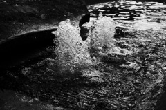 MoriNoMiyako monochrome (152)