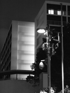 MoriNoMiyako monochrome (36)