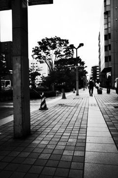 MoriNoMiyako monochrome (154)