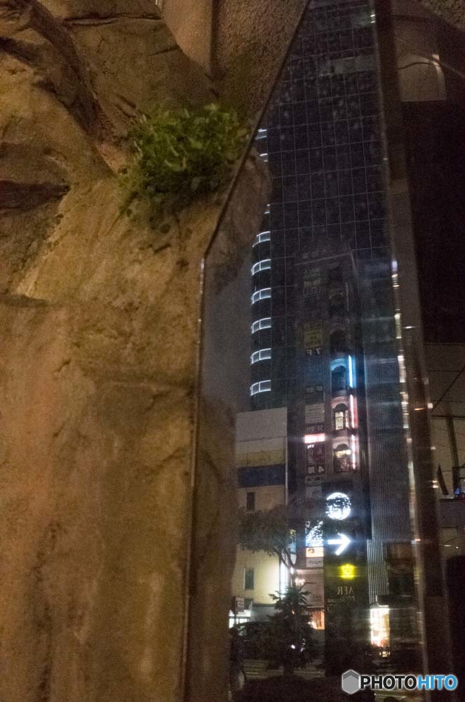 夜の街