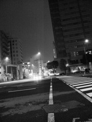 MoriNoMiyako monochrome (110)