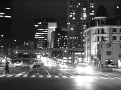 MoriNoMiyako monochrome (64)
