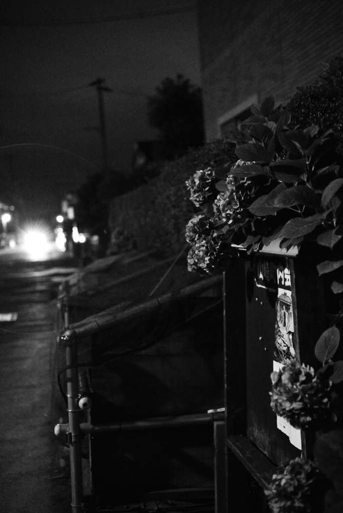 MoriNoMiyako monochrome (135)