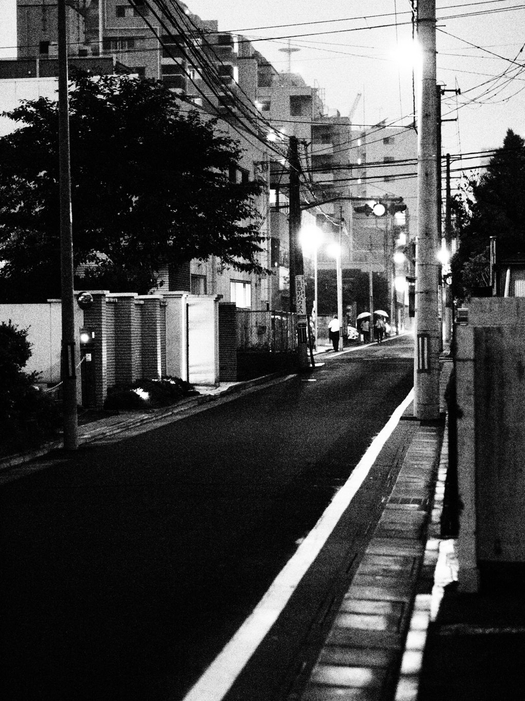 MoriNoMiyako monochrome (8)