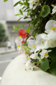 街スナップ #61