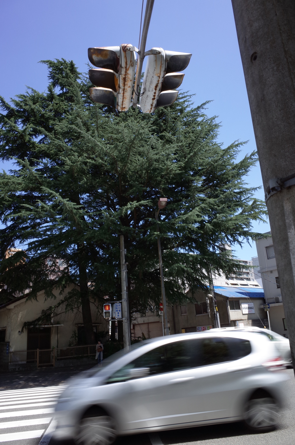  街スナップ #96