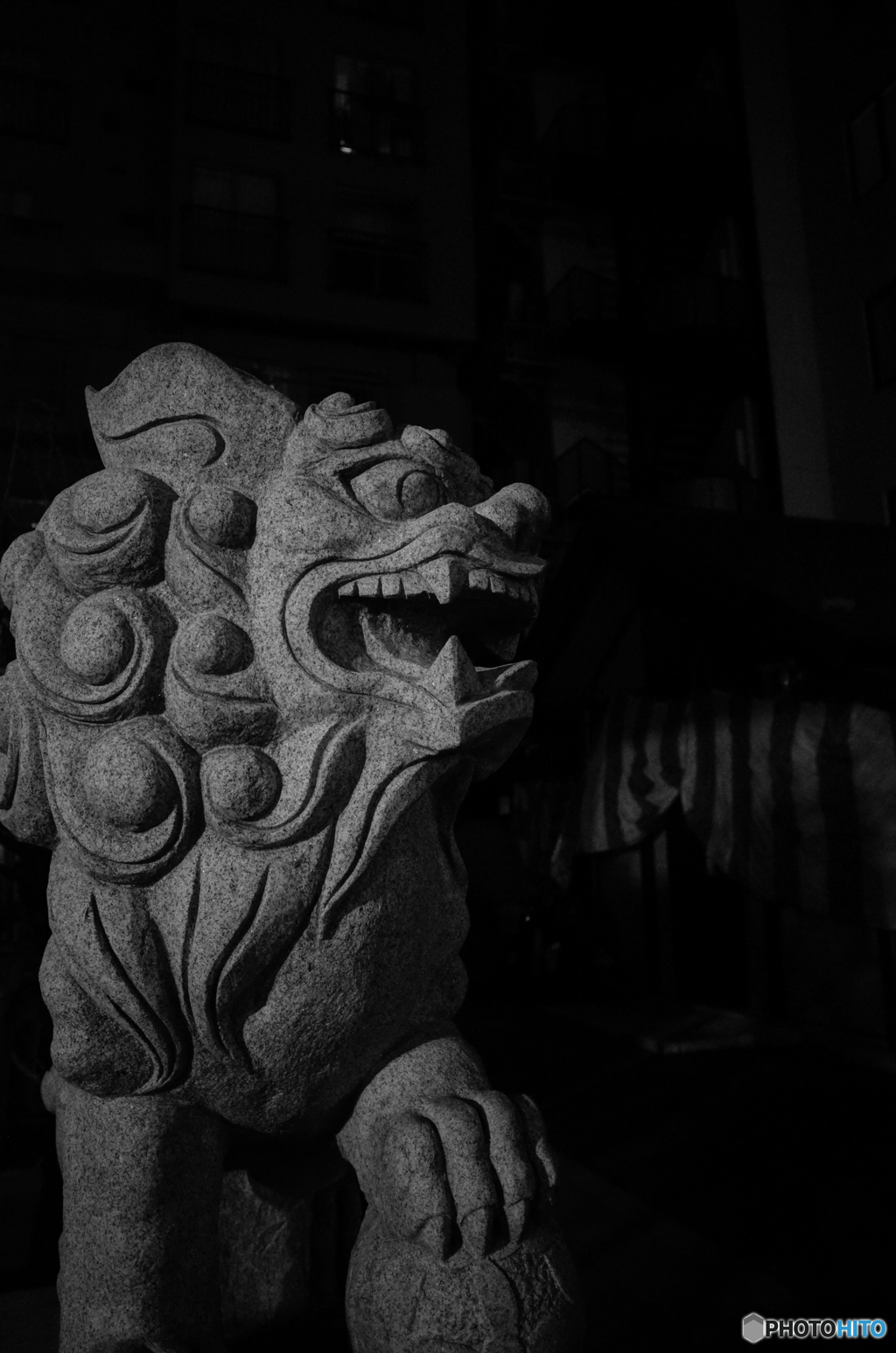 MoriNoMiyako monochrome(272)