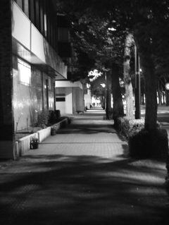 MoriNoMiyako monochrome (43)